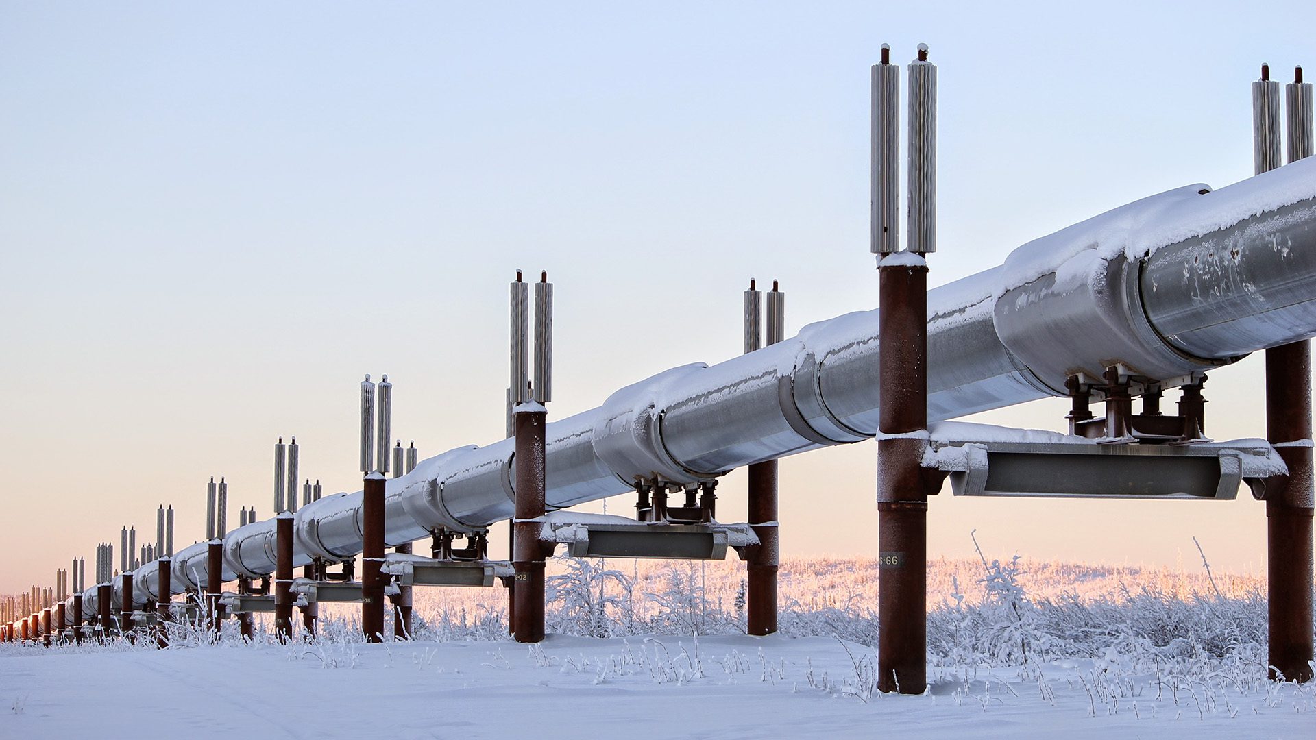 Trans Alaska Pipeline in Winter