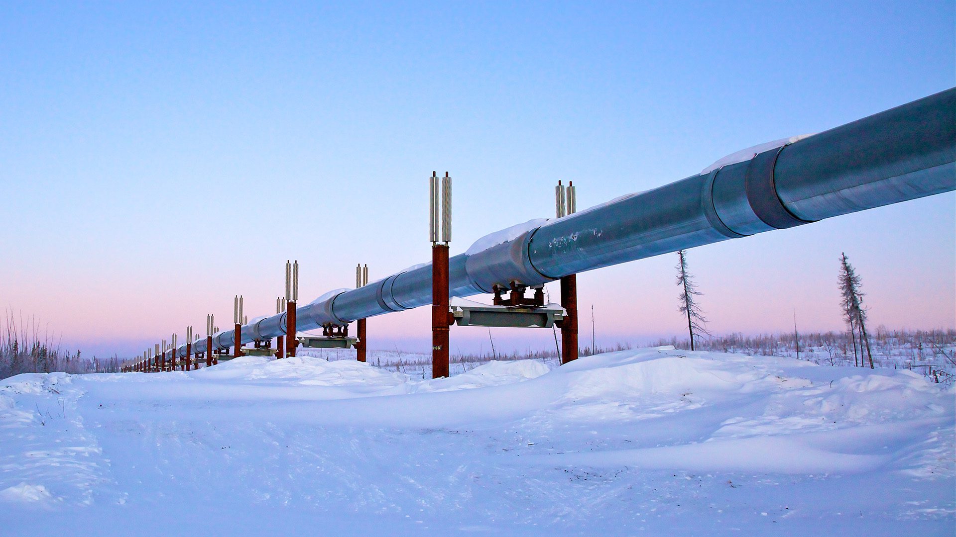 Trans Alaska Pipeline