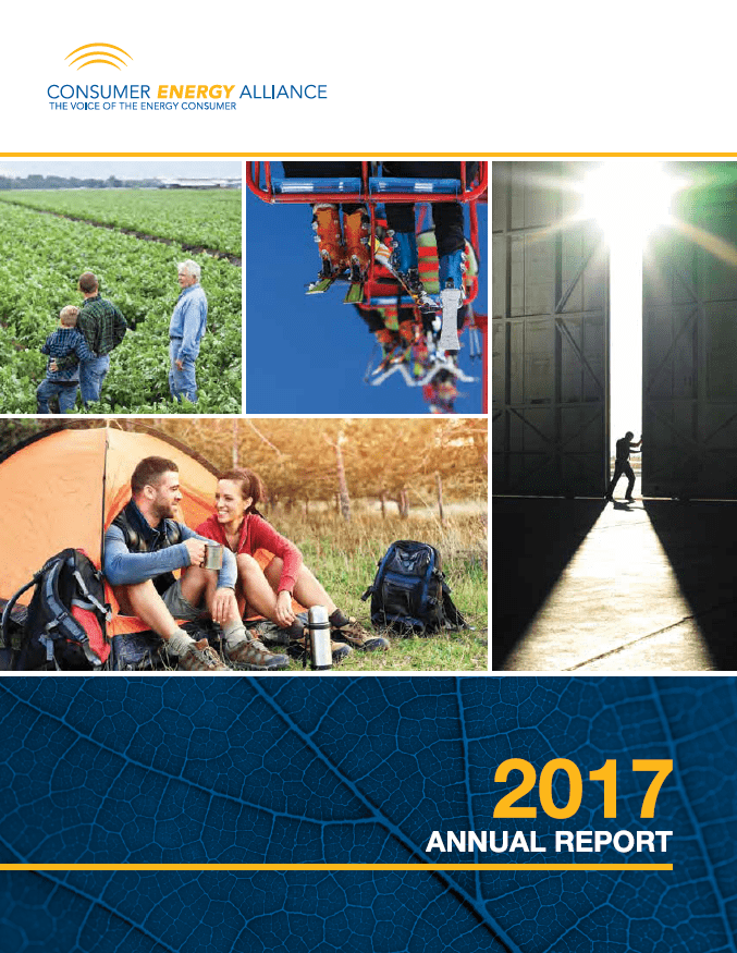 CEA 2017 Annual Report