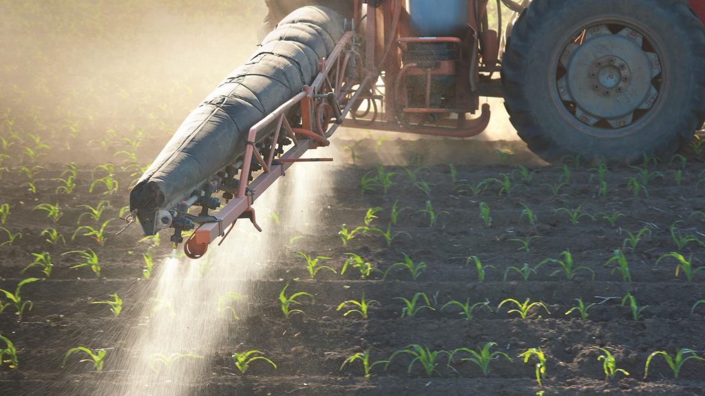 Tractor fertilizes crops corn in spring