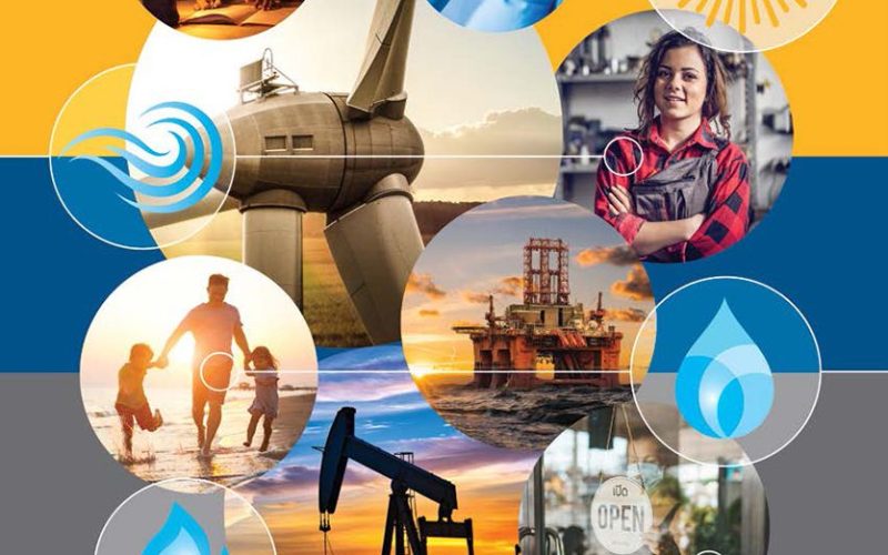 2020-Annual-Report_FINAL_low_Page_01