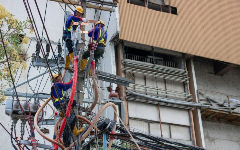 Consumer Energy Alliance Commends the Florida Legislature for Their Support of our Utility Workforce